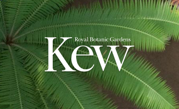 Kew Gardens logo