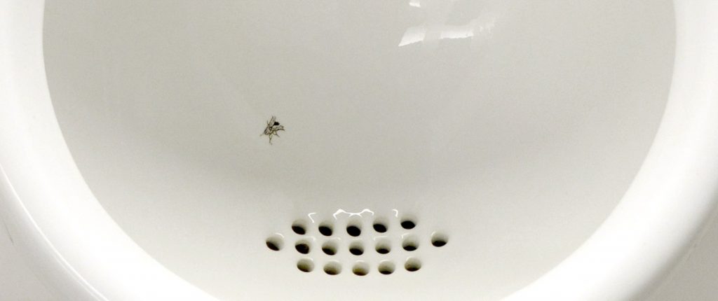 Close up image of a urinal with a fly etched into the porcelain.