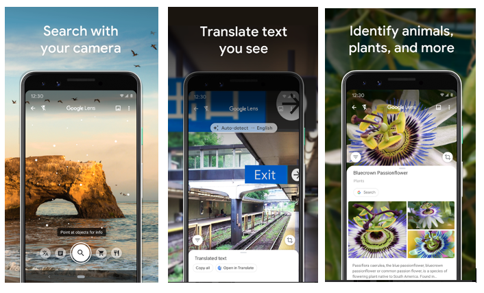 Image is split into three parts. Each shows a different feature of Google Lens. First screen shows how users can search by using their camera. The second one translates texts and the third one lets users identify animals, plants and more. 